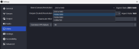 OBS settings canvas.png