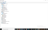 device manager.png