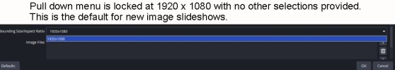 OBS Image Slideshow Properties.jpg