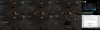OBS Forum.png