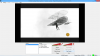 OBS-VideoBorder.png