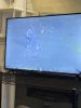 IMG_0744.JPG
