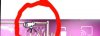 USER_SCOPED_TEMP_DATA_orca-image--1076263000.jpeg