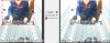 10-WITHOUT SCALE.png