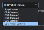 Alle OBS Virtuelle Kameras.png