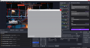 Obs plantage 28.1.1 cam freeze.PNG