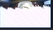 cam lagging.png
