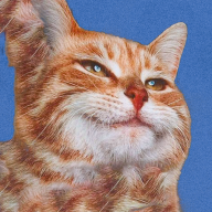 Interval stutter / jitter / duplicated frames bug - workarounds | OBS ...