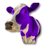 thevioletcow