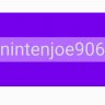 nintenj0e