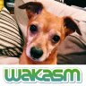 wakasm