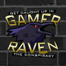 GamerRaven81