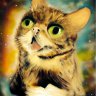 CaptBStripe