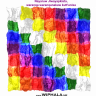 maqex