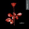 unchartedviolator