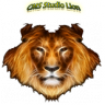 CMS Studio Lion