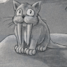 stripecat