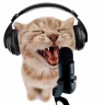 CrystaI