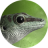 GeckoLinux