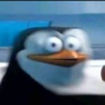 MayorMcNarwhal