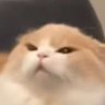 NameIsPie