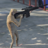 roylax1337