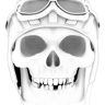 HarleyBikerDude