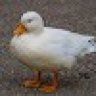 saturnquack