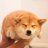 thefyrewire