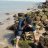 ankit94