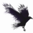 Raven7x