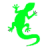 Lizard7