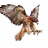 CVHawkeye