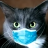 BlueJayNinja