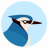 doctyro