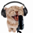 CrystaI