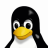 Penguin414