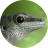 GeckoLinux