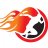 TheFireRunner