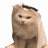 mahurdx