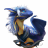 Blue Hasia
