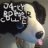 JackyBorderCollie