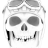 HarleyBikerDude