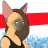 shado9