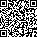 OBS Virtual Camera